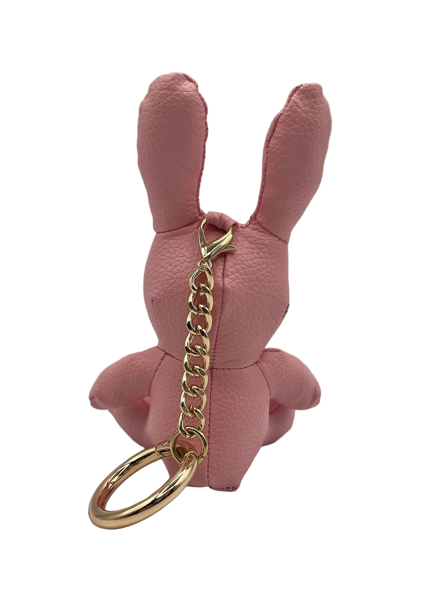 Hoppity hop charm