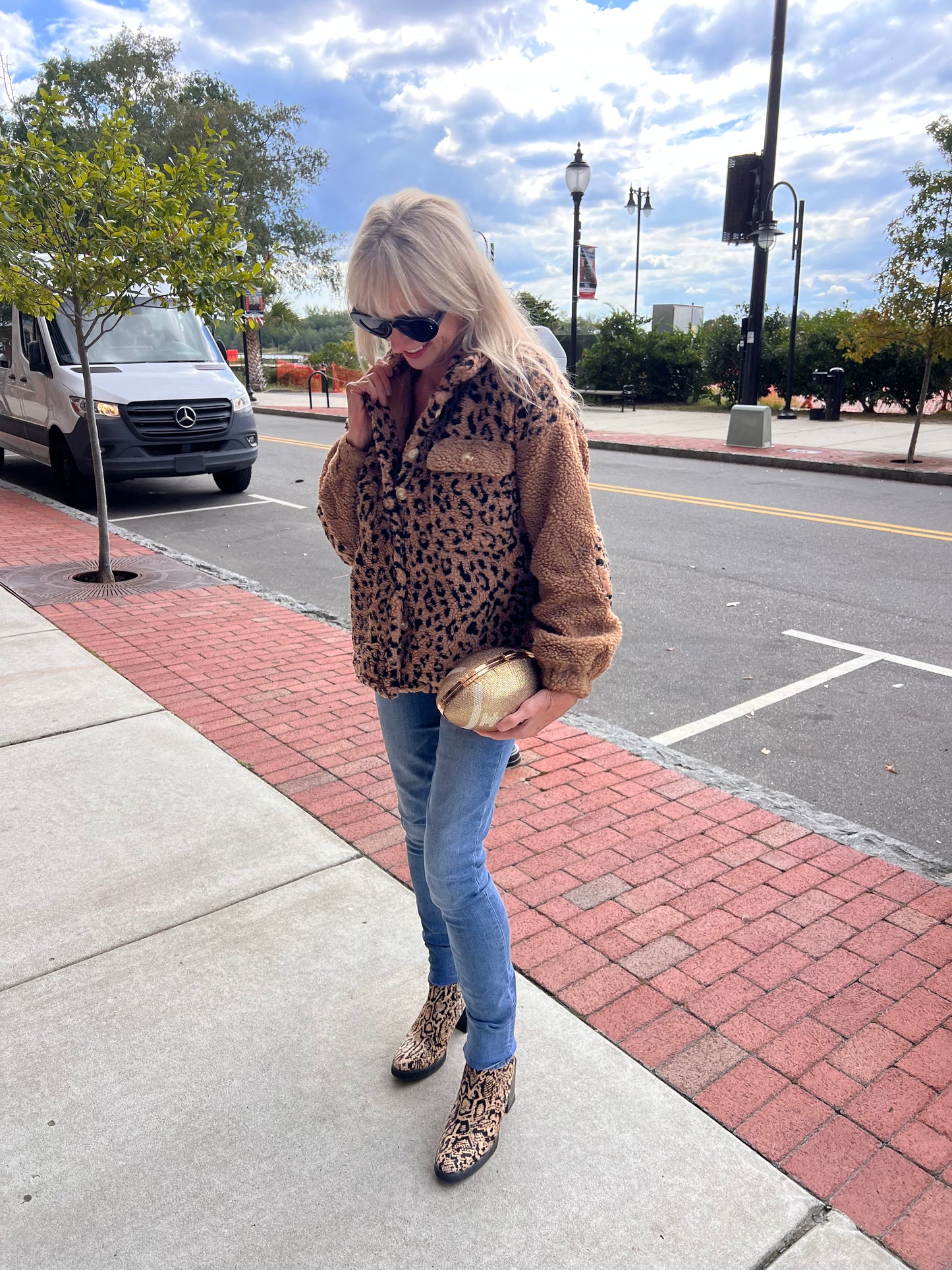 Brown Trimmed Sherpa Jacket