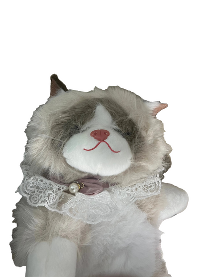Meow backpack